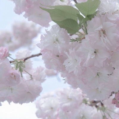 剑河福瑞交流群